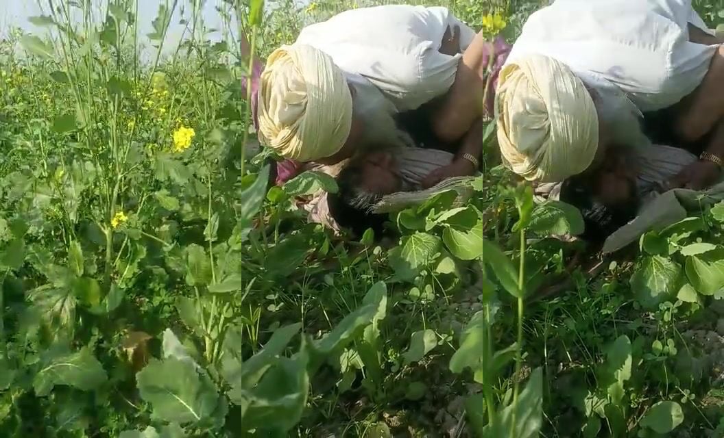 
                                          Sardar ji ne sarso ke khet me aunty ko ragad diya
                                      