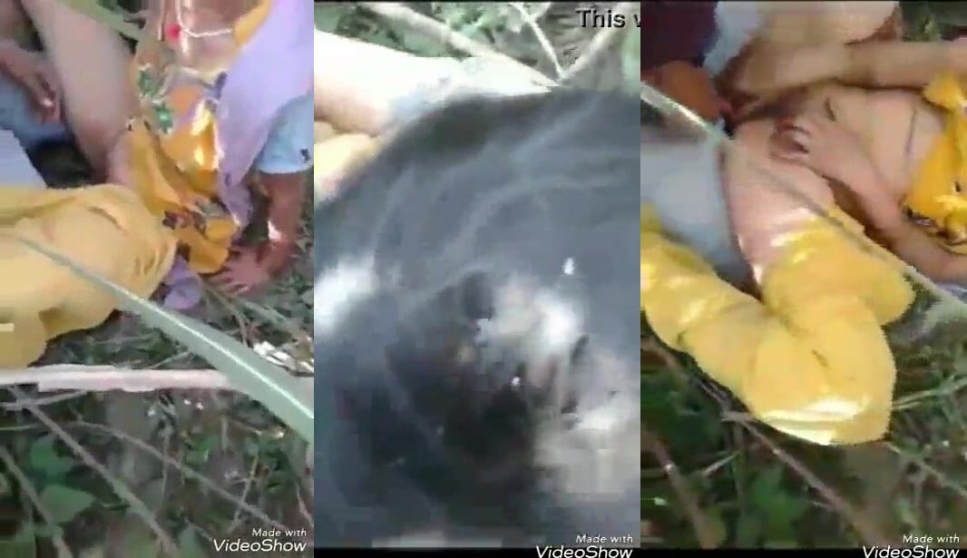 
                                          Desi village randi ka kheto me groupsex video
                                      